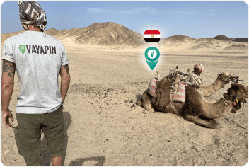 A man in a VayaPin t-shirt looks out over an Egyptian desert landscape where camels are resting on the sand