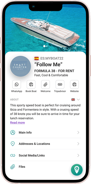 VayaPin mobile pin view