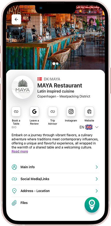 VayaPin mobile pin view