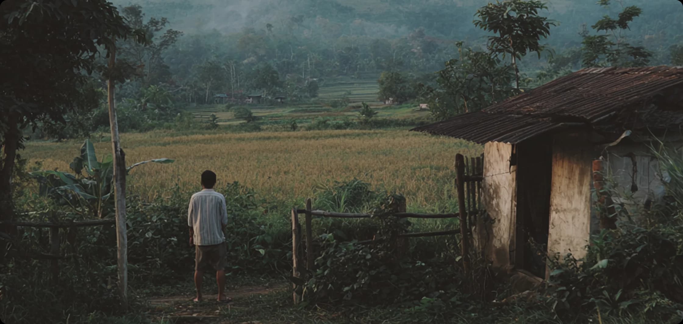 A wide shot of a person standing outside a small, rustic hut, looking out over lush green rice paddies and distant misty hills.