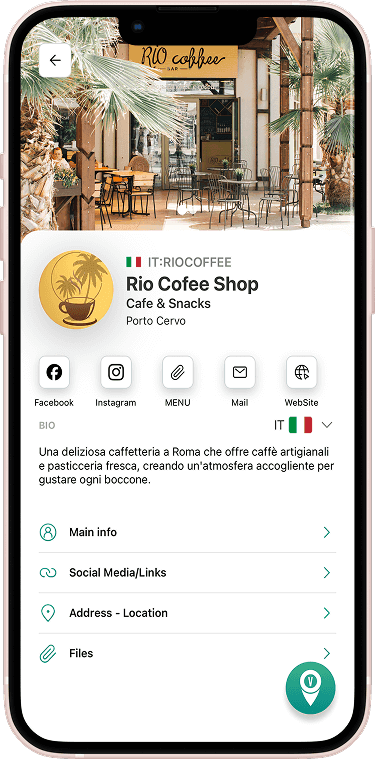 VayaPin mobile pin view