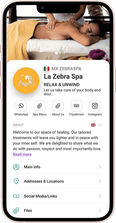VayaPin mobile app