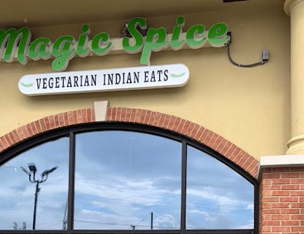 Magic Spice - Vegetarian Indian Eats