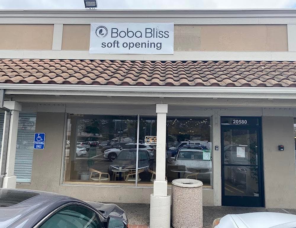 Boba Bliss