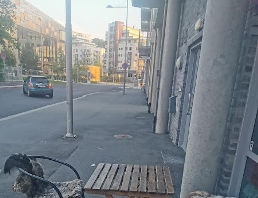 Møllendal Fetevare