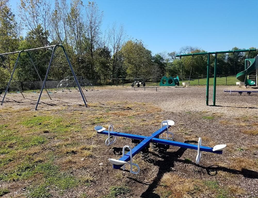 Sarah Taylor Park