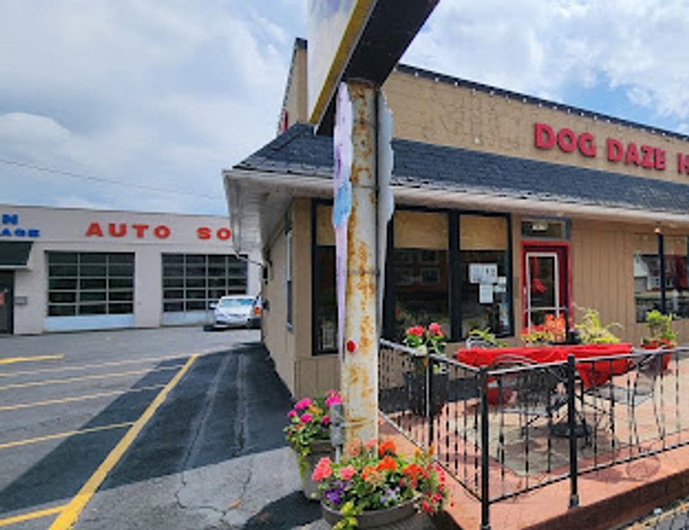 Dog Daze Gourmet Hot Dogs