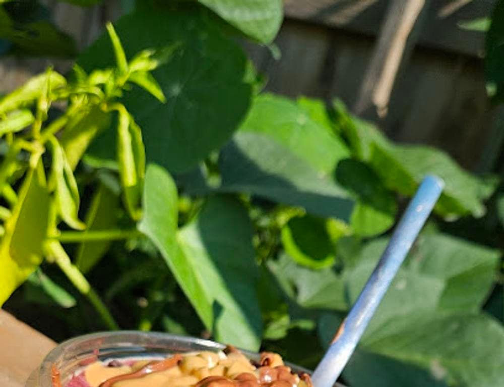 Sol Bol Acai Superfoods