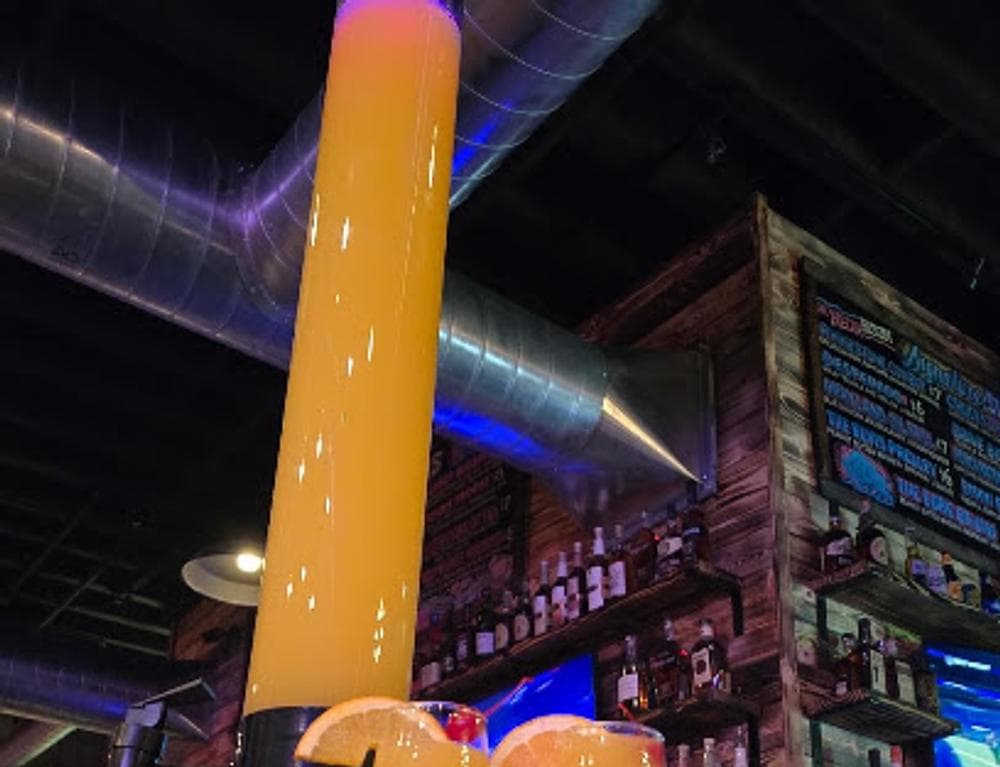 The Neon Bison