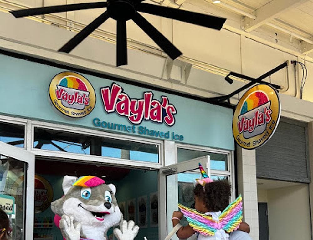 Vayla's Gourmet Shaved Ice
