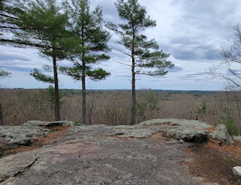 Noon Hill Reservation