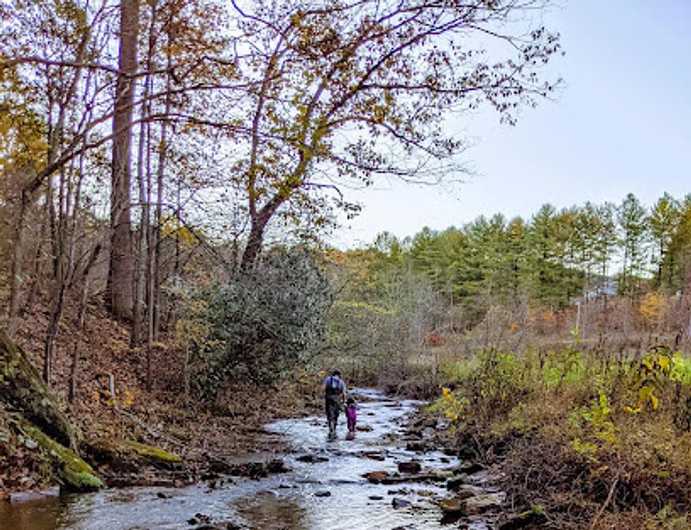 Dragon's Beard Farm & Camp