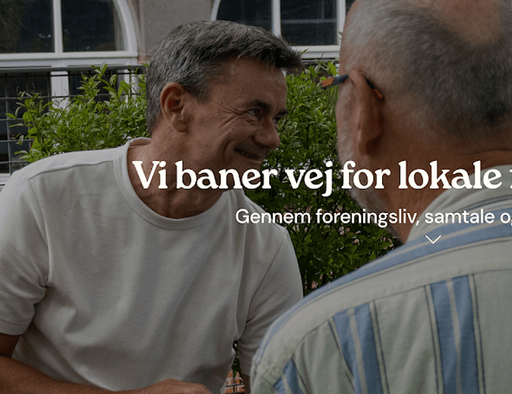 Frivilligcentre & Selvhjælp Danmark (FriSe)