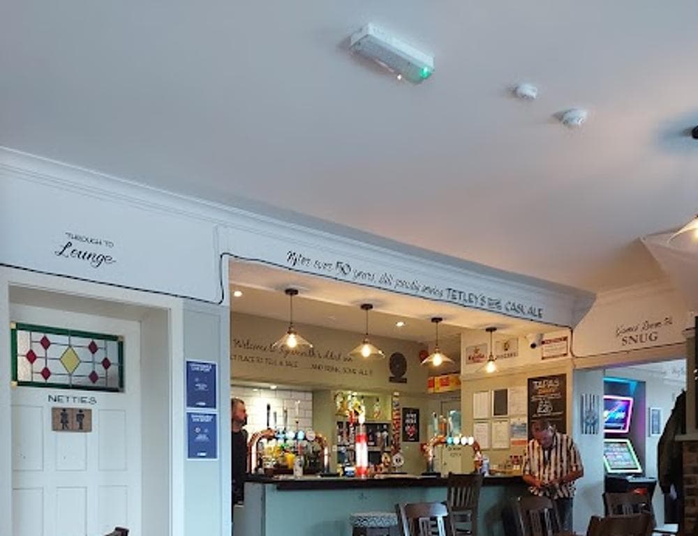 The Dolphin