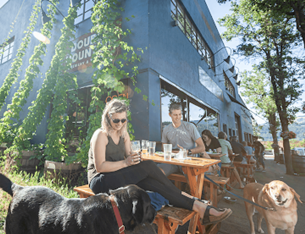 Double Mountain Brewery