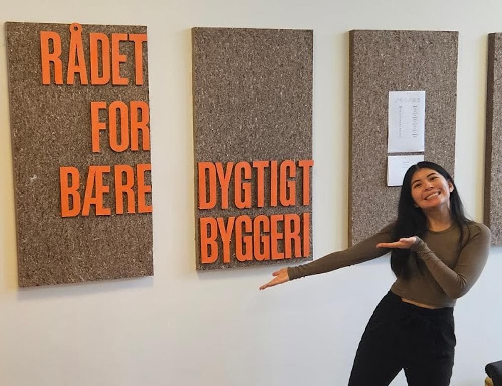 Rådet for Bæredygtigt Byggeri (Aarhus)