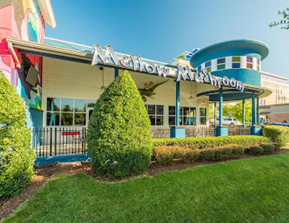 Mellow Mushroom Knoxville