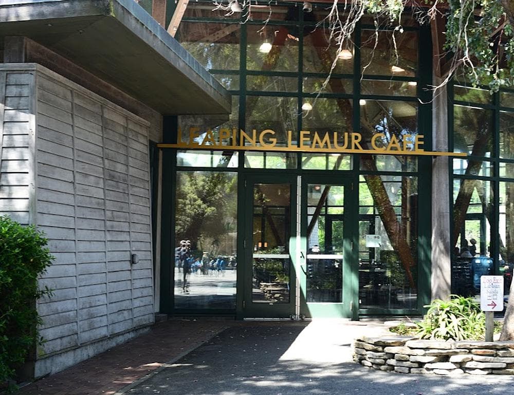 Leaping Lemur Cafe