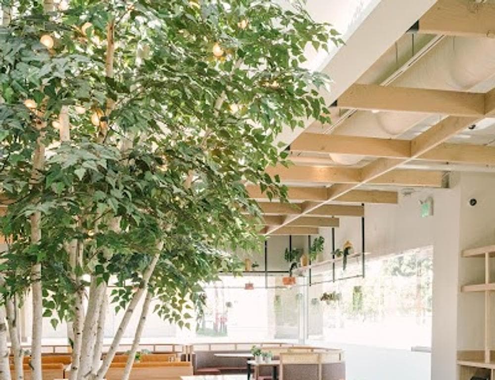 INI Ristorante