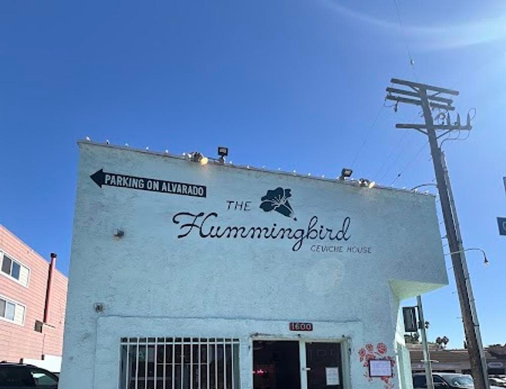 The Hummingbird