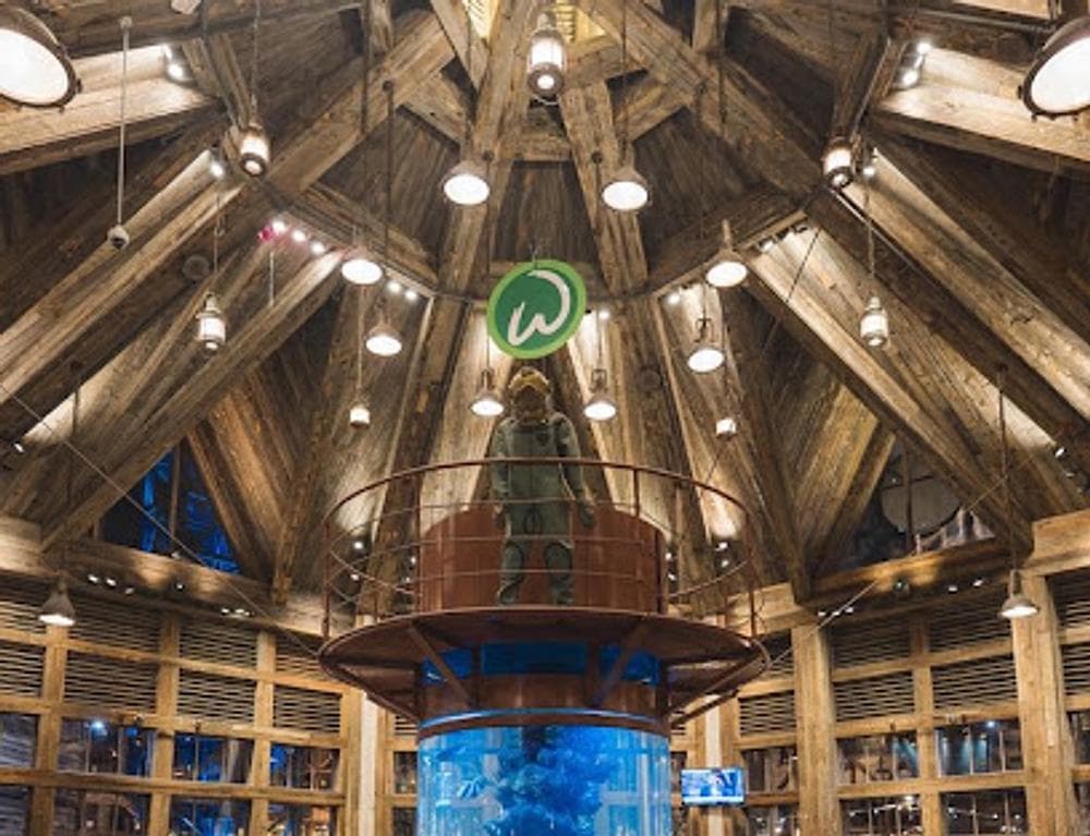 Wahlburgers