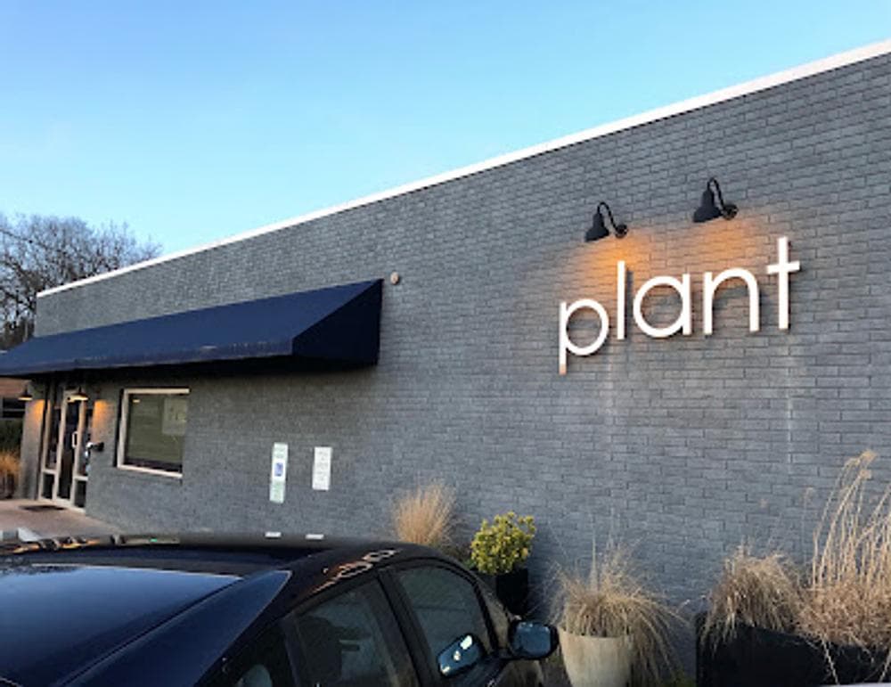 plant is food