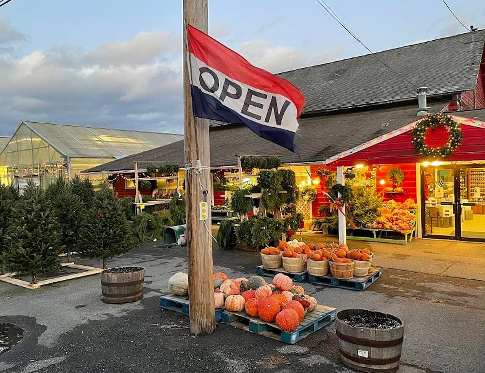 Black Horse Farms