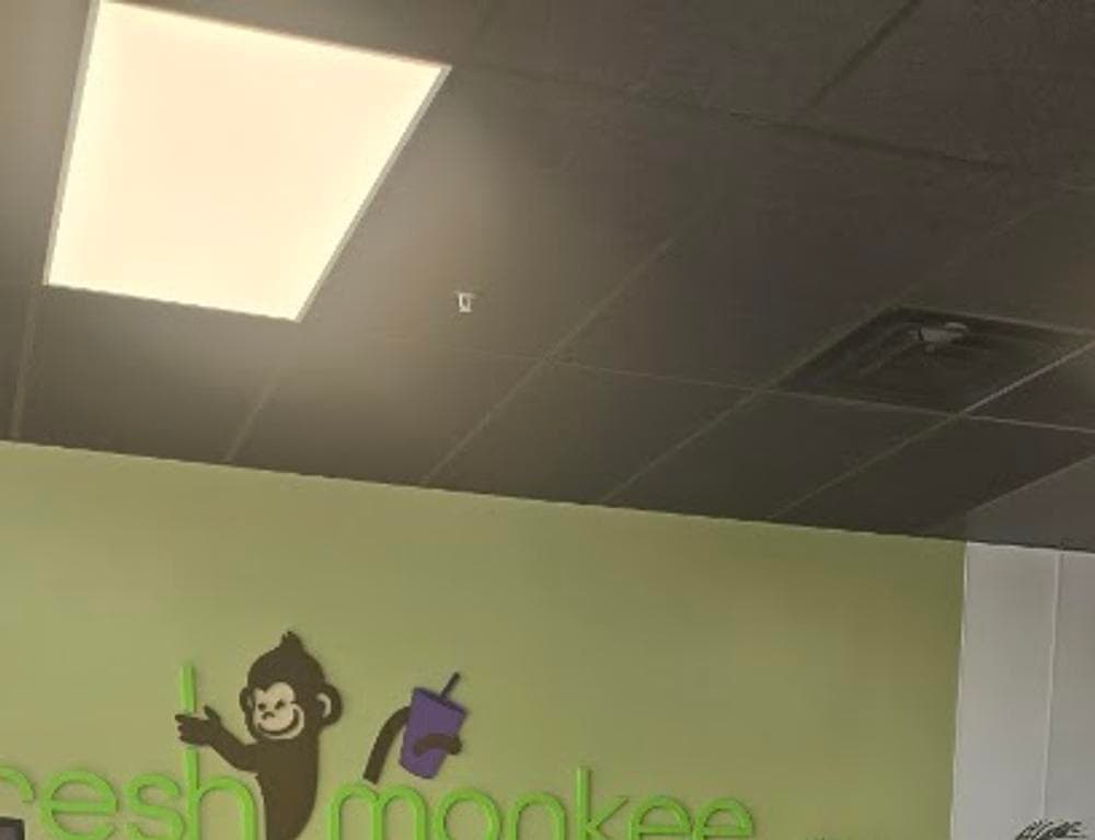 Fresh Monkee - Braintree, MA