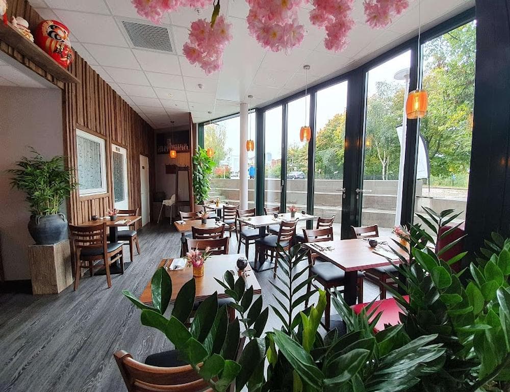 M.Neko Sushi & Asian Dining