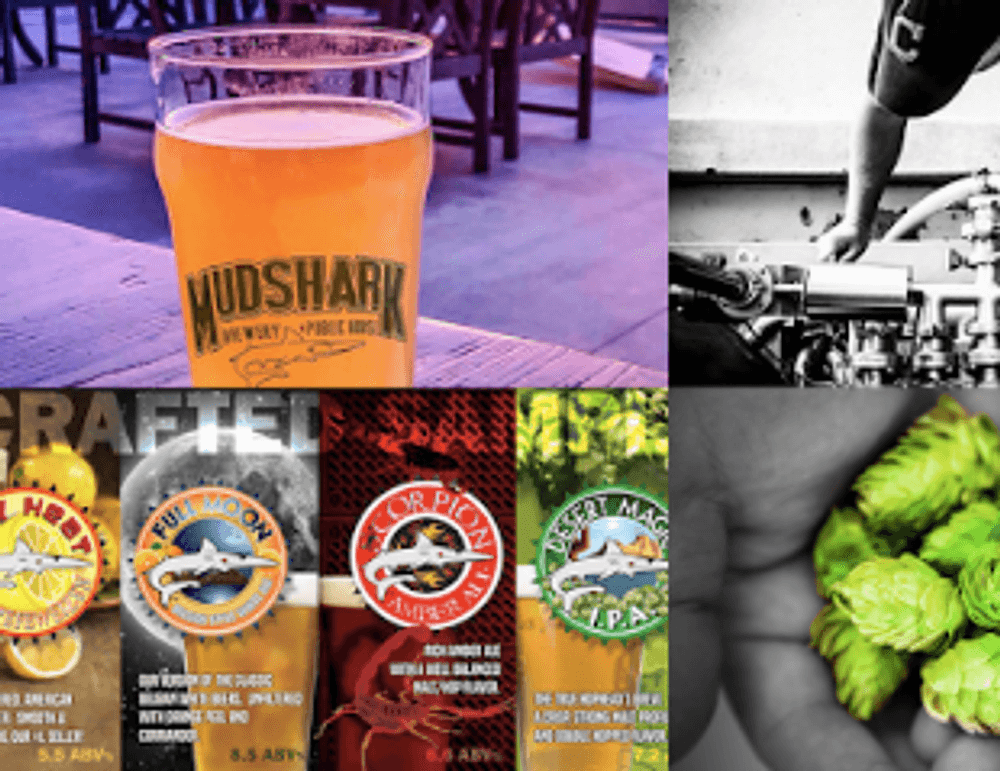 Mudshark Brewery & Public House