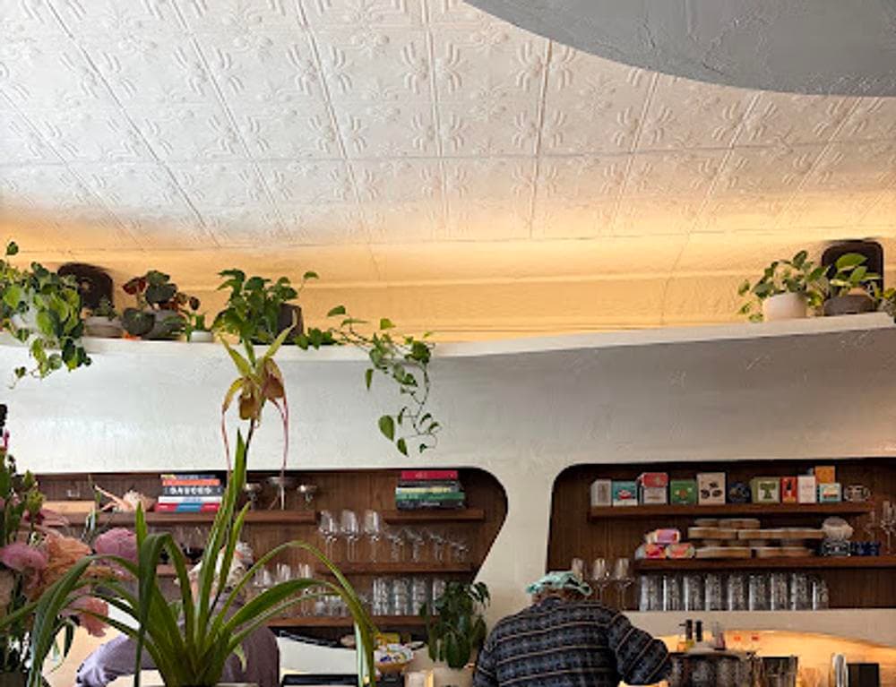 Umbo Traverse City