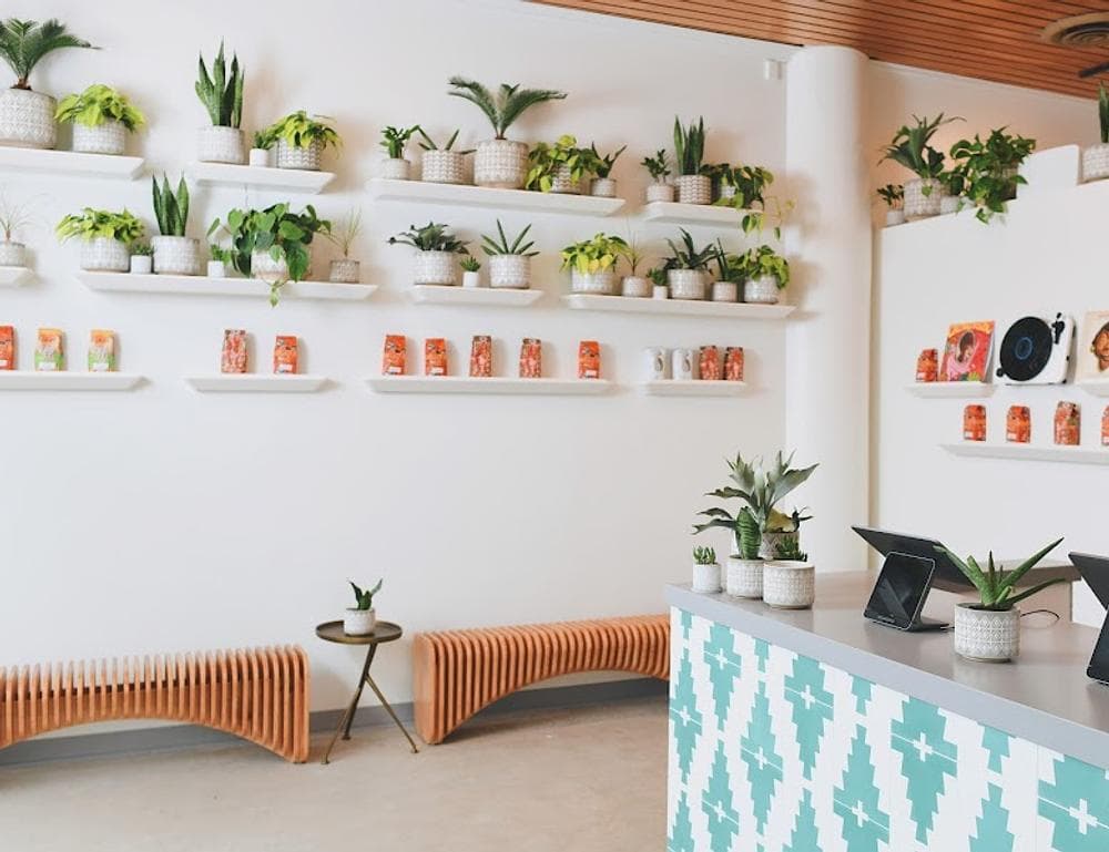 CAJÉ Coffee Roasters