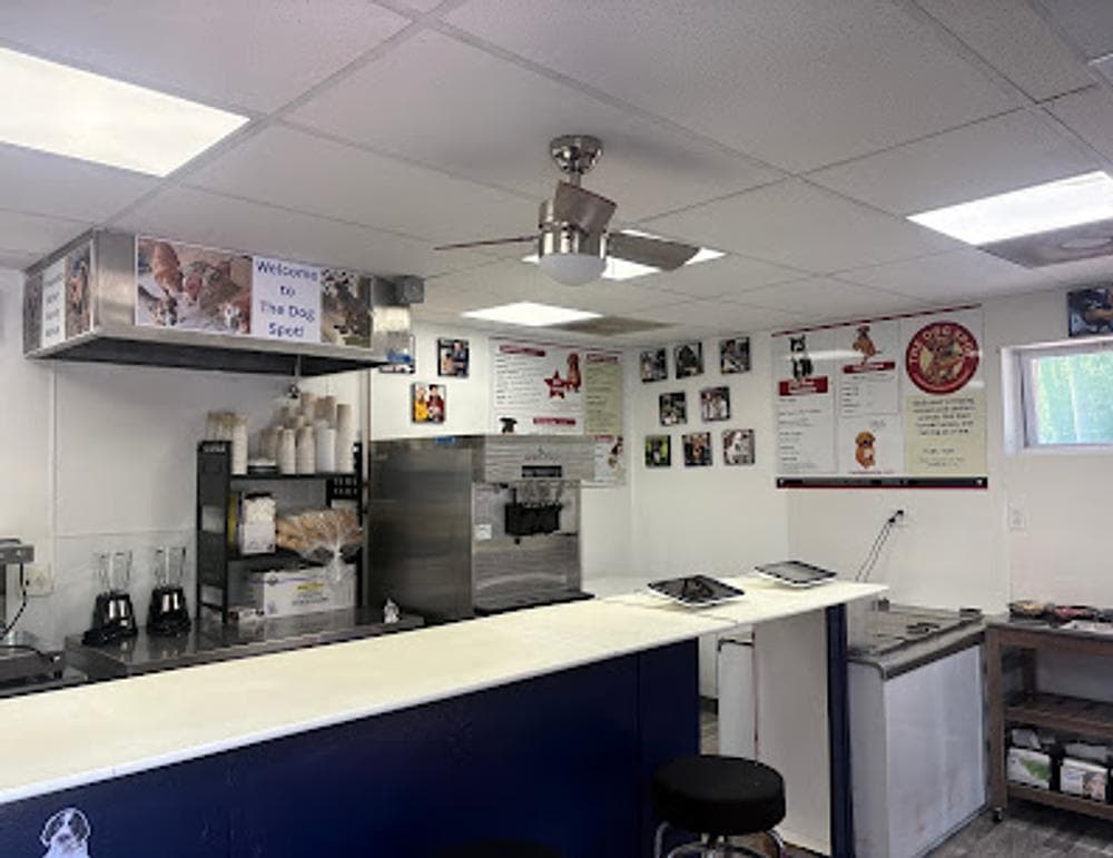 The Dog Spot