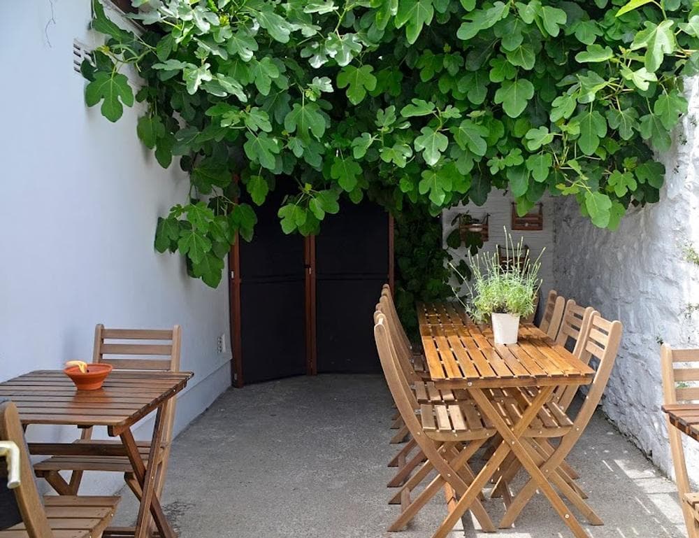 The Fig Tree @ 36