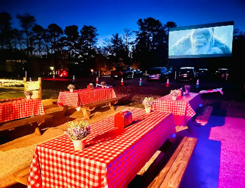 Swan Drive-In Theatre & Diner