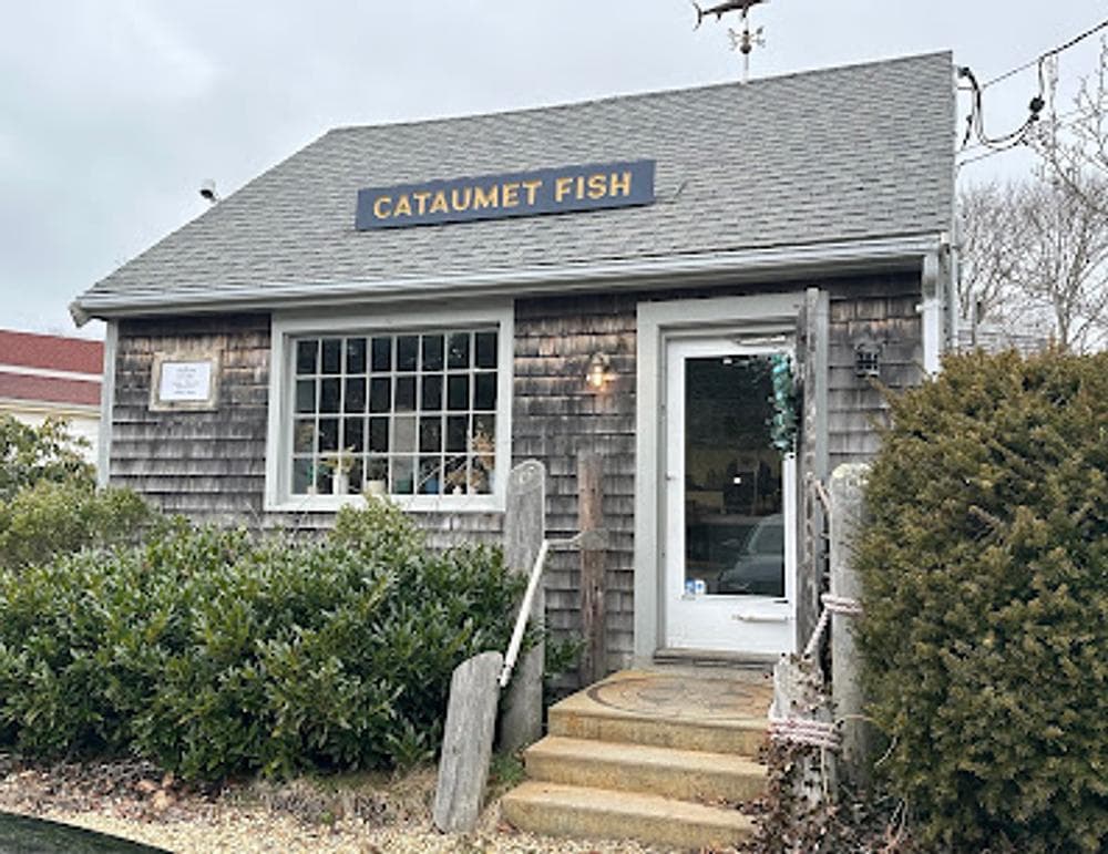Cataumet Fish | Sea State Foods