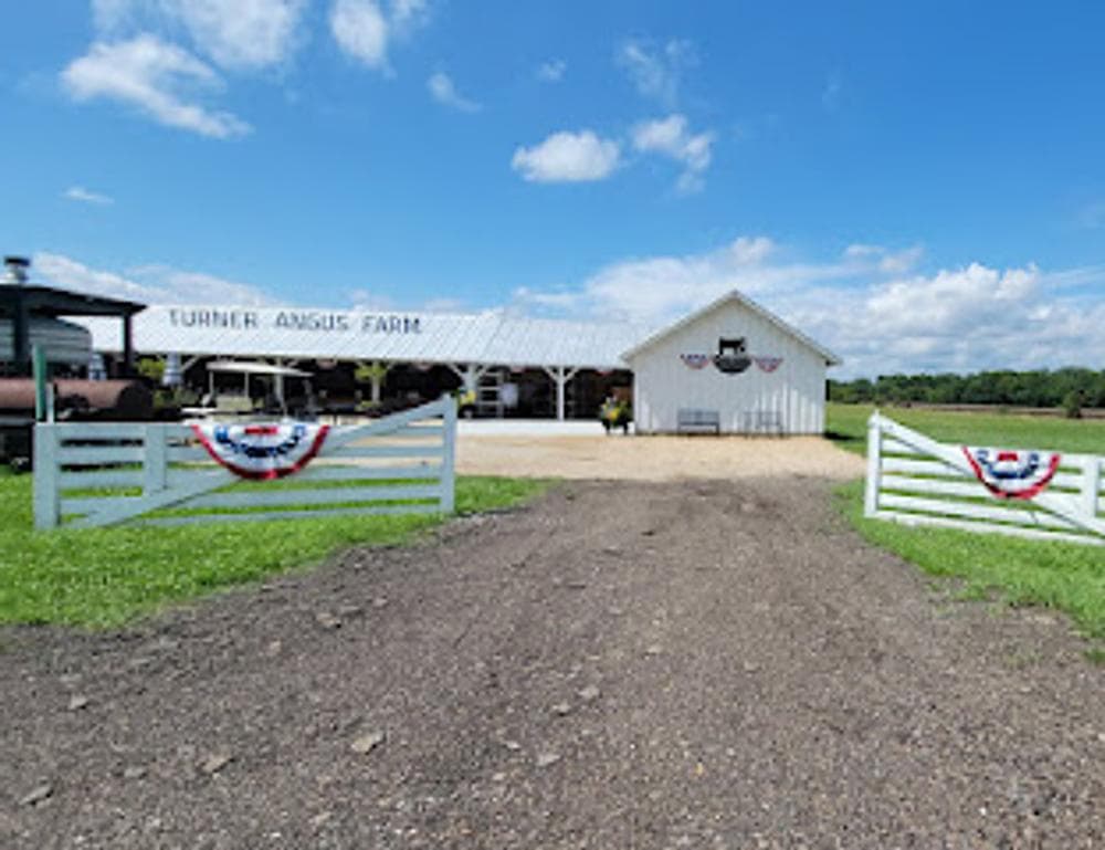Turner Angus Pizza Farm