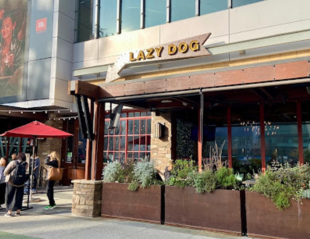 Lazy Dog Restaurant & Bar