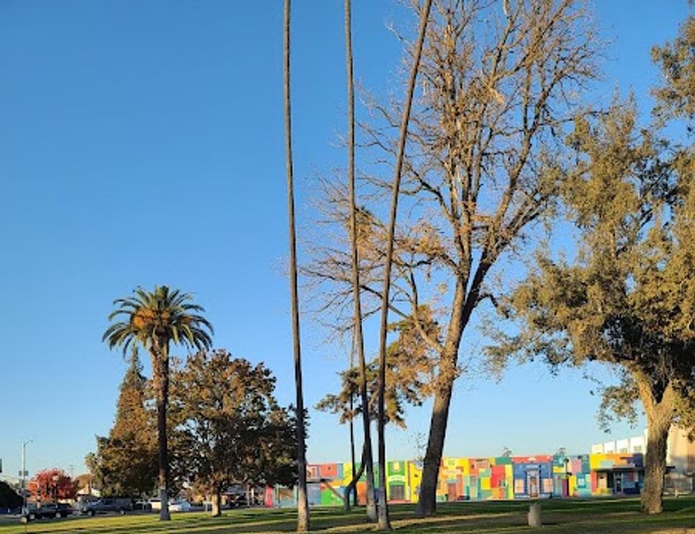 Selma Park