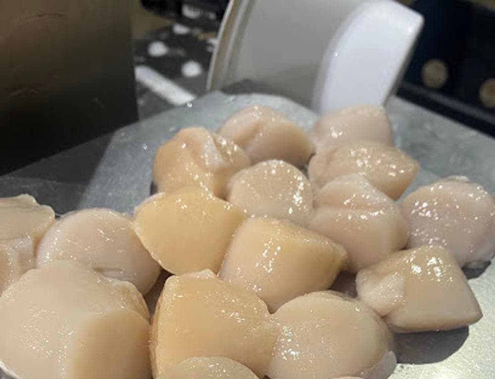 The Scallop Truck