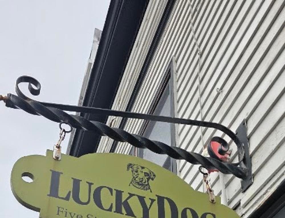 Lucky Dog