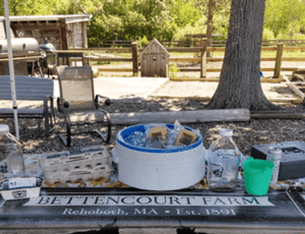 Bettencourt Dairy Farm