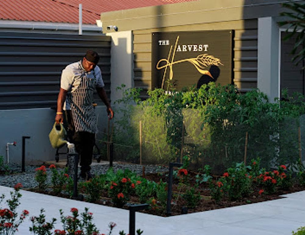 The Harvest & Table