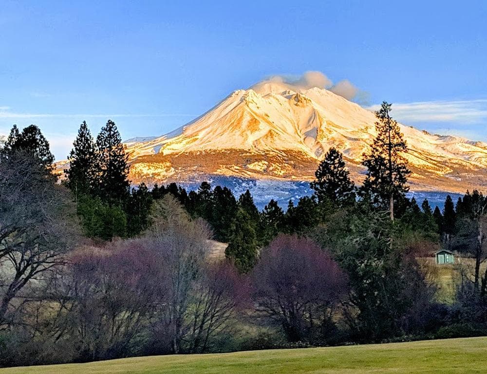 Weed Golf Club