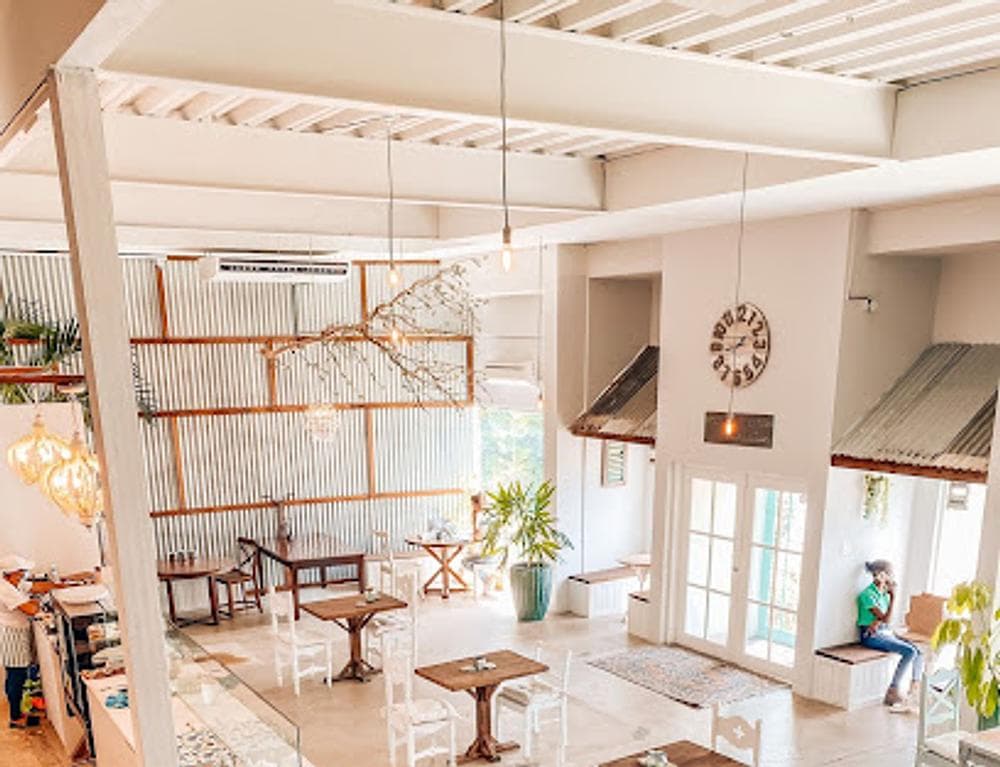 Splurge Cake Studio