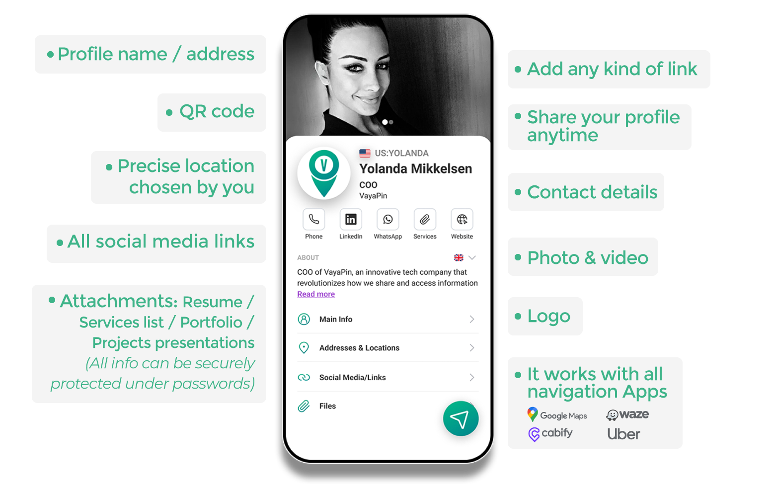 vayapin features mockup business card